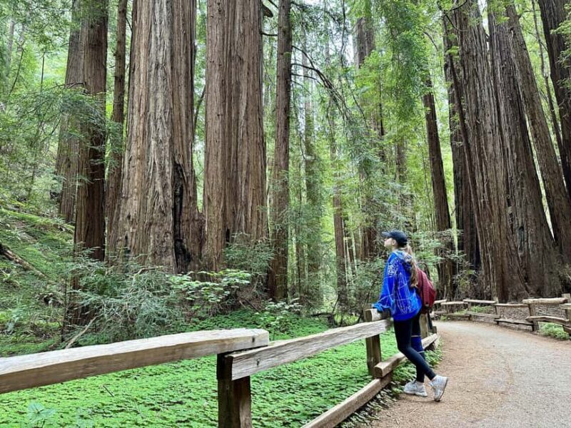 San Francisco: Muir Woods and Sausalito Tour with Admission - Who Should Consider This Tour?
