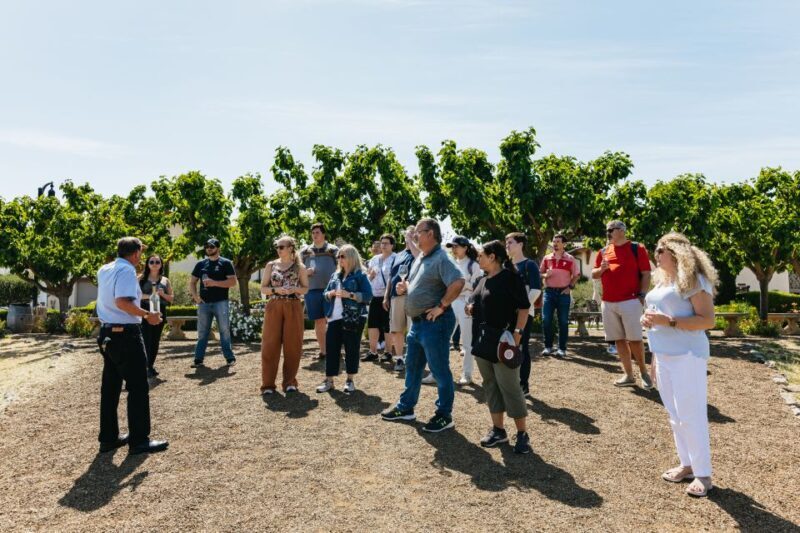 San Francisco: Muir Woods, Napa & Sonoma Valley Wine Tour - Who Will Appreciate This Tour?