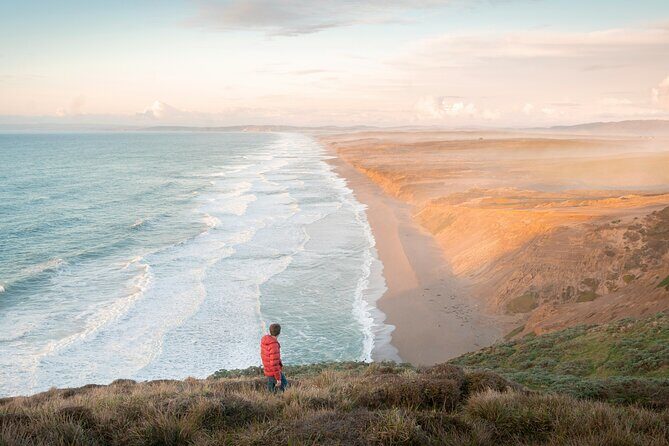 San Francisco Muir Woods, Point Reyes and Meadery Tour - A Complete Day Exploring San Francisco’s Natural Wonders and Local Flavors