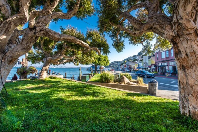 San Francisco: Muir Woods, San Francisco and Sausalito Tour - FAQ