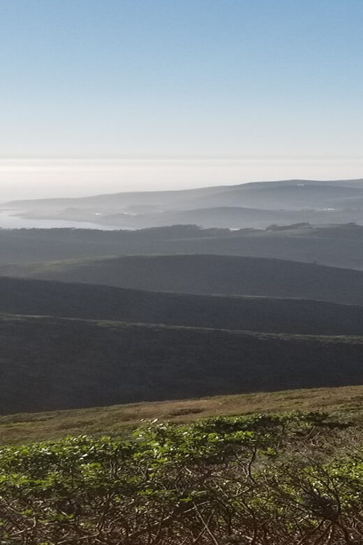 San Francisco: Muir Woods, Sausalito, and Sonoma Wine Tour - Potential Drawbacks