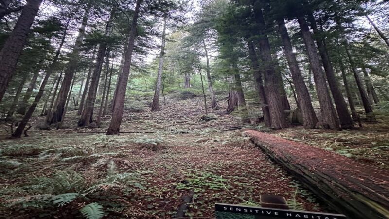 San Francisco: Muir Woods, Sausalito, and Sonoma Wine Tour - FAQ