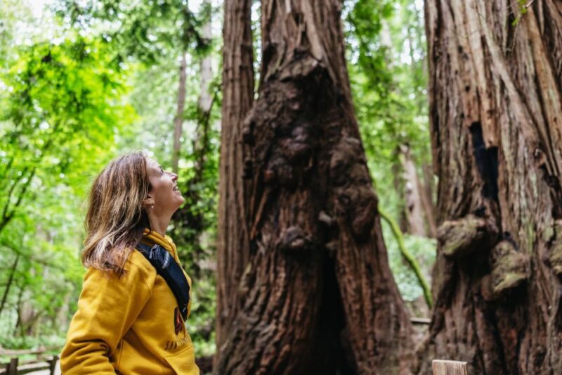 San Francisco: Muir Woods & Sausalito Tour with Ferry Option - Experience the Best of Northern California: Muir Woods & Sausalito Tour with Ferry Option
