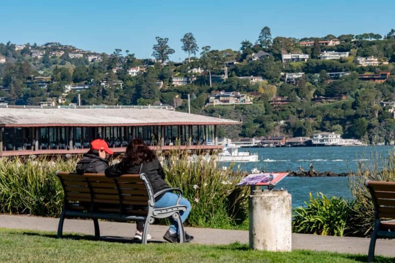 San Francisco: Muir Woods & Sausalito Tour with Ferry Option - The Sum Up: Is This Tour Right for You?