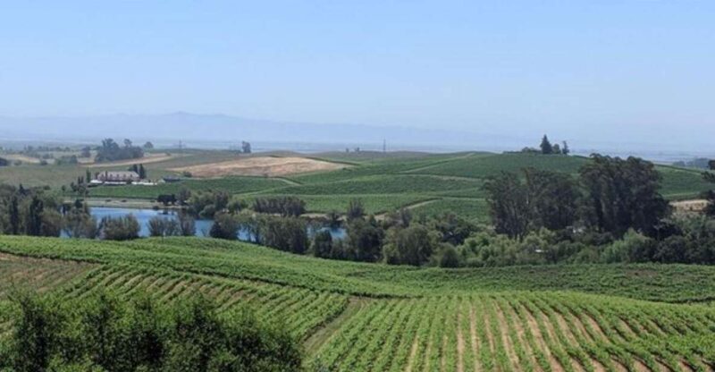 San Francisco: Napa and Sonoma Valley Private Wine Tour - In Practice: What Travelers Say