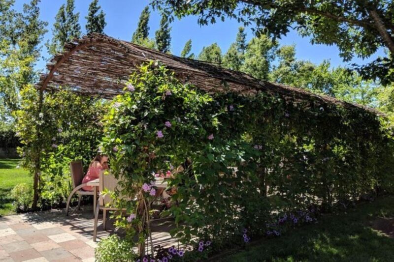 San Francisco: Napa and Sonoma Valley Private Wine Tour - FAQ