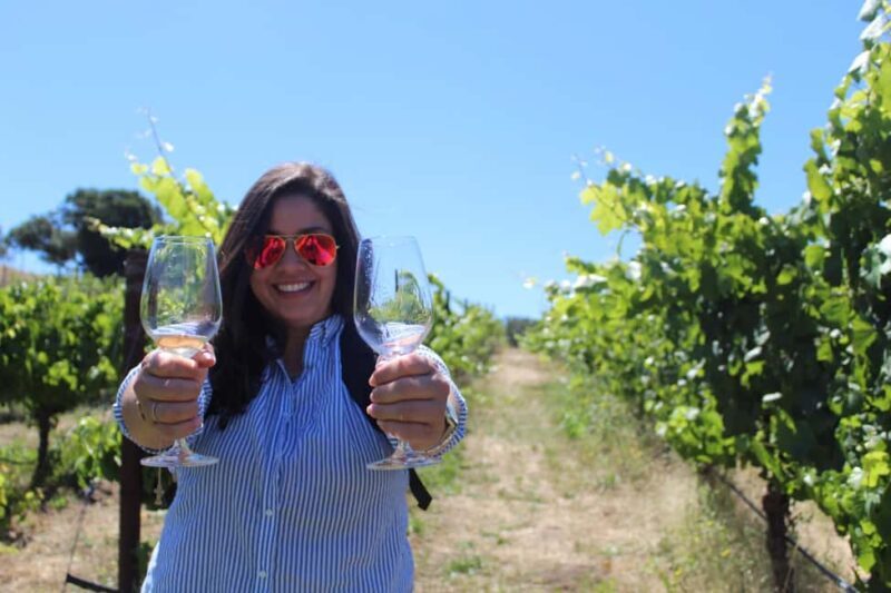 San Francisco: Napa and Sonoma Valley Wine Tour - Getting a Feel for the Experience