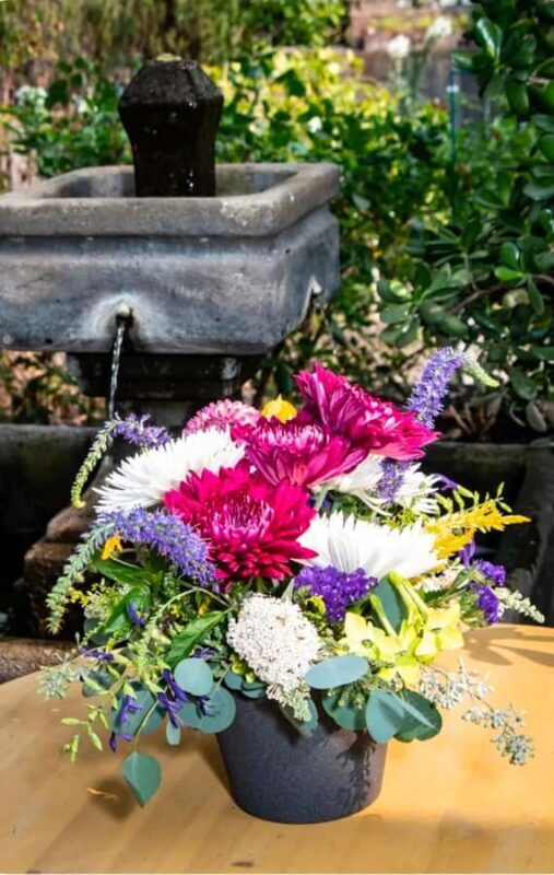 San Francisco Photo Tour with a Private Photographer - Key Points