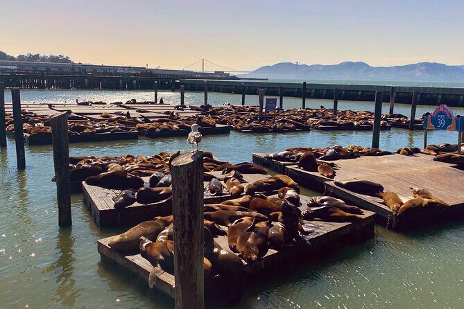 San Francisco Private Custom Tour - Exploring San Francisco with a Personal Touch