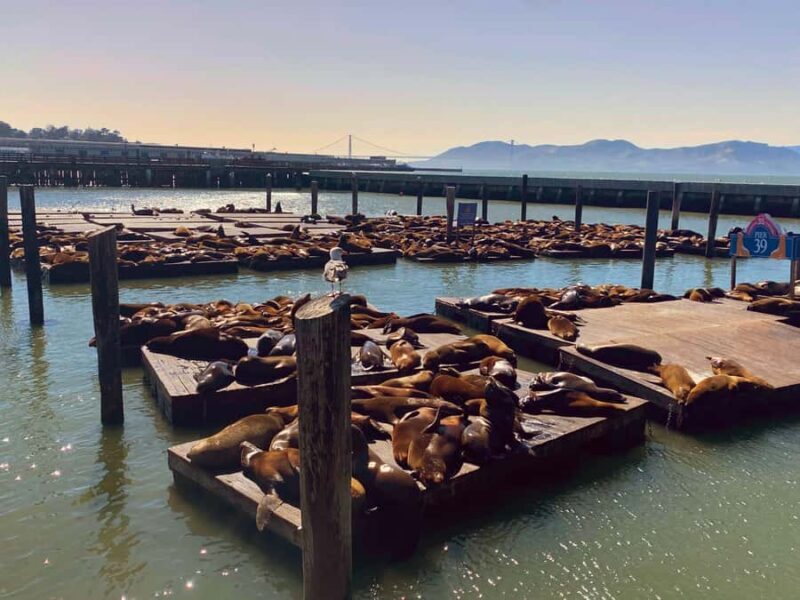 San Francisco Private Custom Tour - A Closer Look at the San Francisco Private Custom Tour