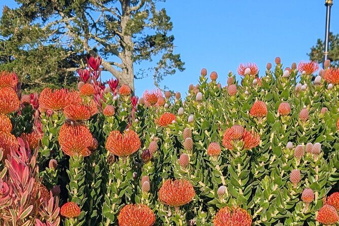 San Francisco Private Mini Tour - Exploring San Francisco with a Personal Touch