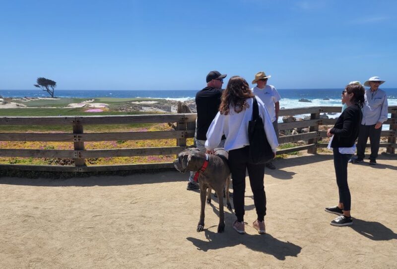 San Francisco: Private Monterey Aquarium 17 Mile Carmel - FAQ