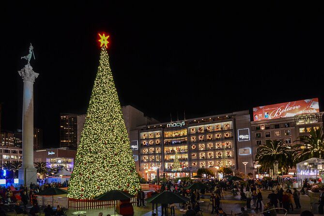 San Francisco Private Small Group Holiday Lights Tour - Summary