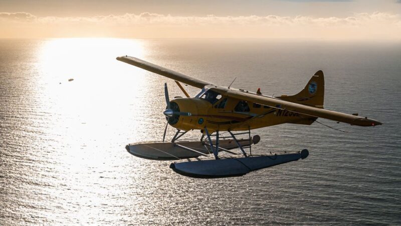 San Francisco: Seaplane Flight with Champagne - FAQ: Your Questions Answered