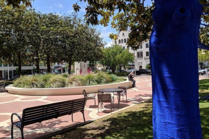 San Francisco: Silicon Valley Private Tour with Transfers - Silicon Valley Private Tour with Transfers: A Practical Look at Tech’s Heartland