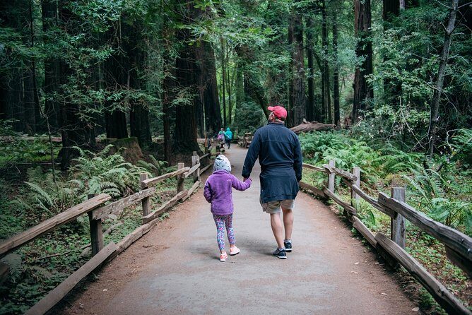 San Francisco Super Saver: Muir Woods & Wine Country w/ optional Gourmet Lunch - Deep Dive into the Experience