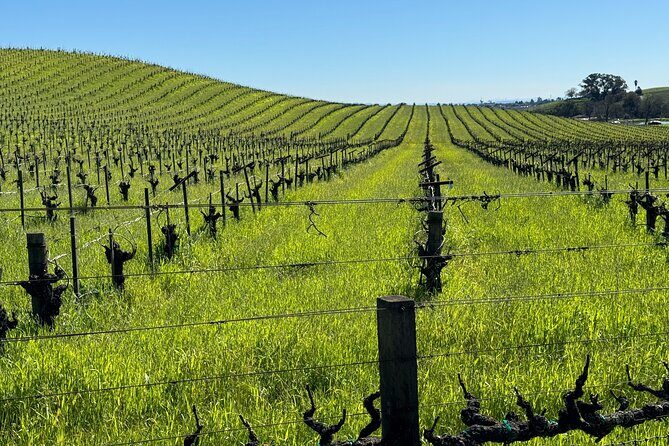 San Francisco to Sonoma Private 6 Hour Wine Tour - up to 4 guests - Additional Tips for Your Wine Day