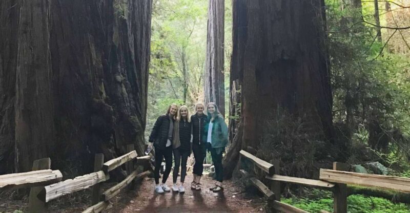 San Francisco Tour to Muir Woods Giant Redwoods & Sausalito - A Deep Dive into the Tour Experience