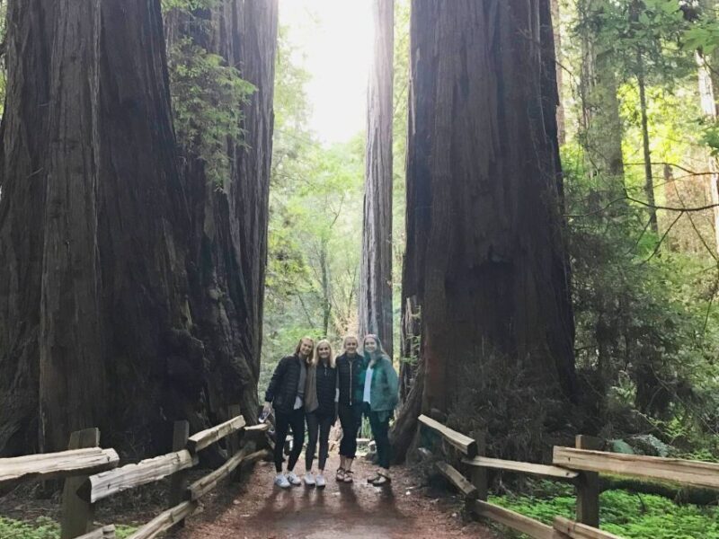 San Francisco Tour to Muir Woods Giant Redwoods & Sausalito - FAQ