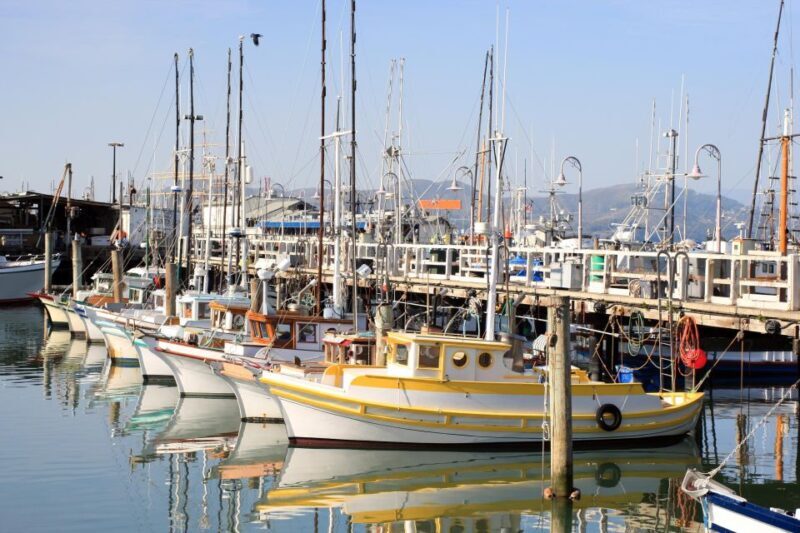 San Francisco Ultimate City Tour with Bay Cruise Option - FAQs