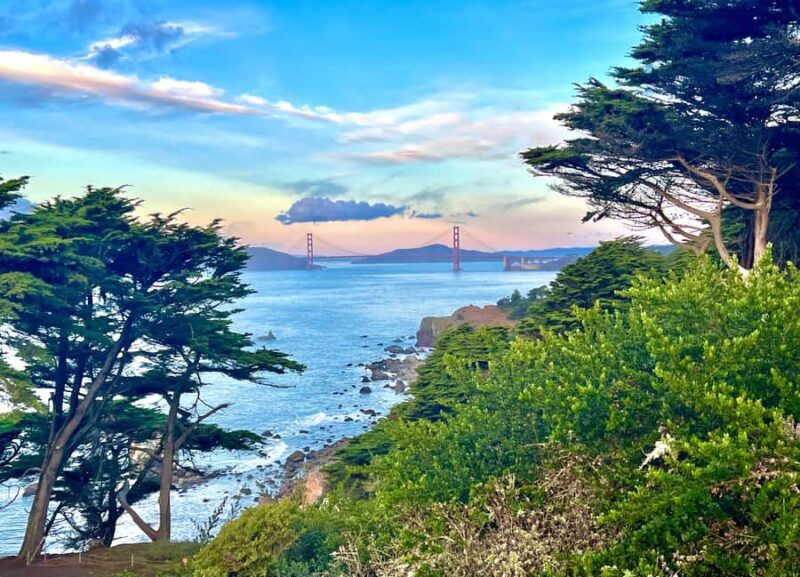 San Francisco: Wild Coast Tour - Exploring San Francisco’s Wild Coast: A Guided Walk Along the City’s Untamed Edge