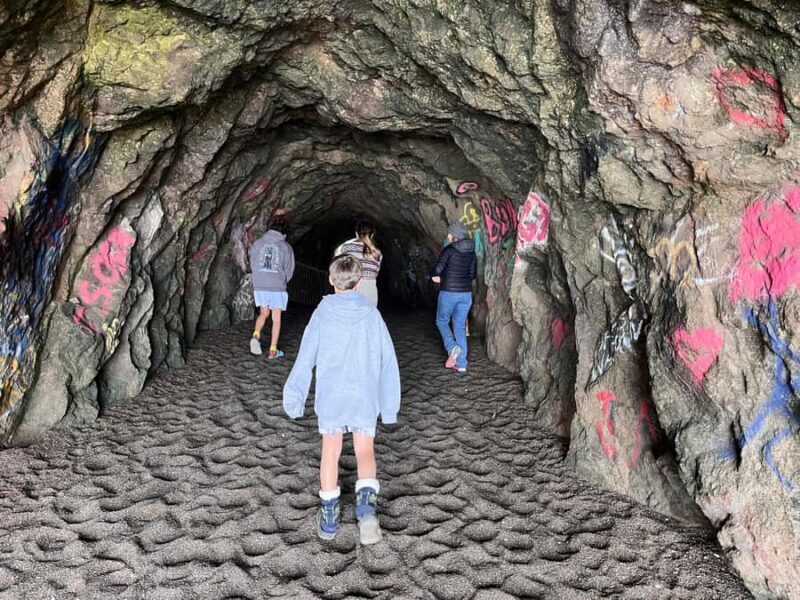 San Francisco: Wild Coast Tour - Key Points