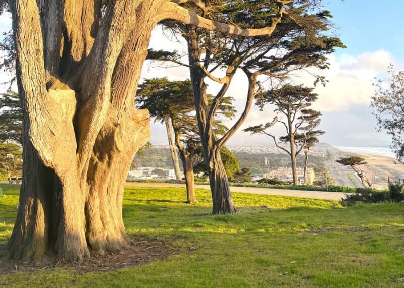 San Francisco: Wild Coast Tour - Practical Info and Tips for Travelers