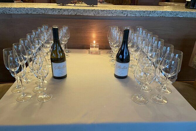 San Francisco Wine Country Tour in EV VW Van - An In-Depth Look at the San Francisco Wine Country Tour