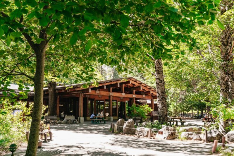 San Francisco: Yosemite National Park & Giant Sequoias Hike - The Scenic Drive
