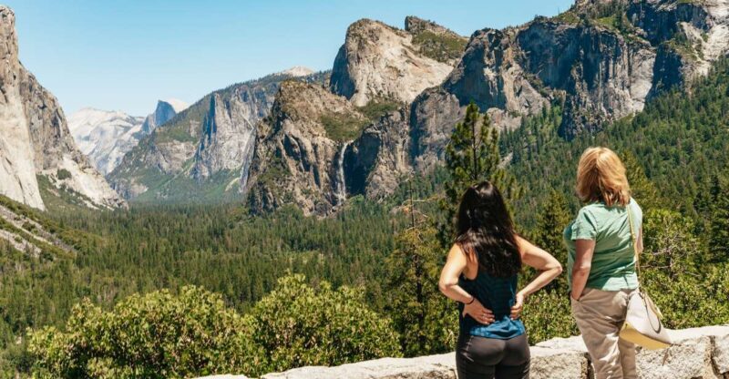 San Francisco: Yosemite National Park & Giant Sequoias Hike - The Giant Sequoias: A Tree-Mendous Finale