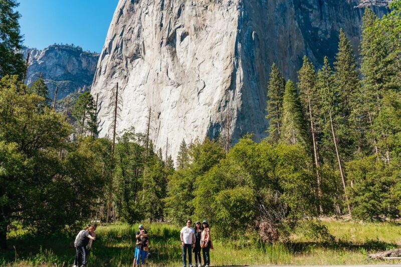 San Francisco: Yosemite National Park & Giant Sequoias Hike - Return Journey and Reflection