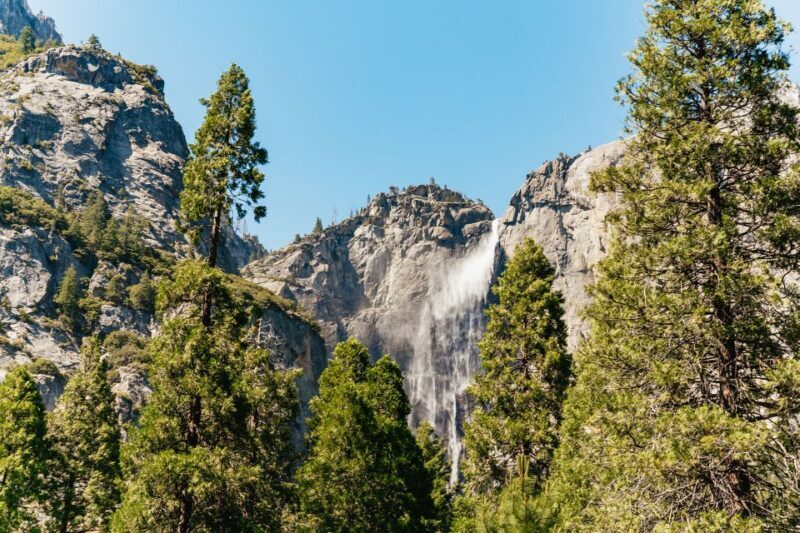 San Francisco: Yosemite National Park & Giant Sequoias Hike - Who Should Take This Tour?