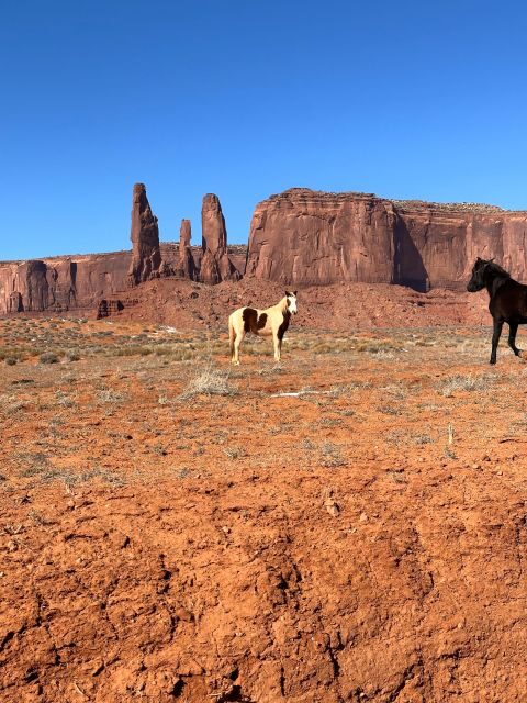 San Francisco: Yosemite, Vegas, Sedona, Antelope, 7-Day Tour - Day 5: Sedona—Red Rock Majesty & Native Charm