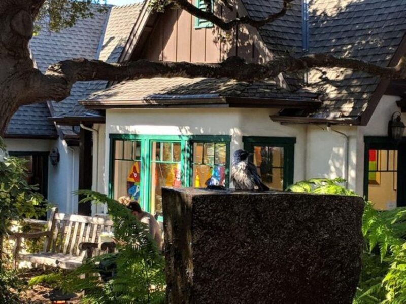 San Francisco:Private Monterey, Carmel and Big Sur Day Trip - Authentic Experiences and Authentic Insights