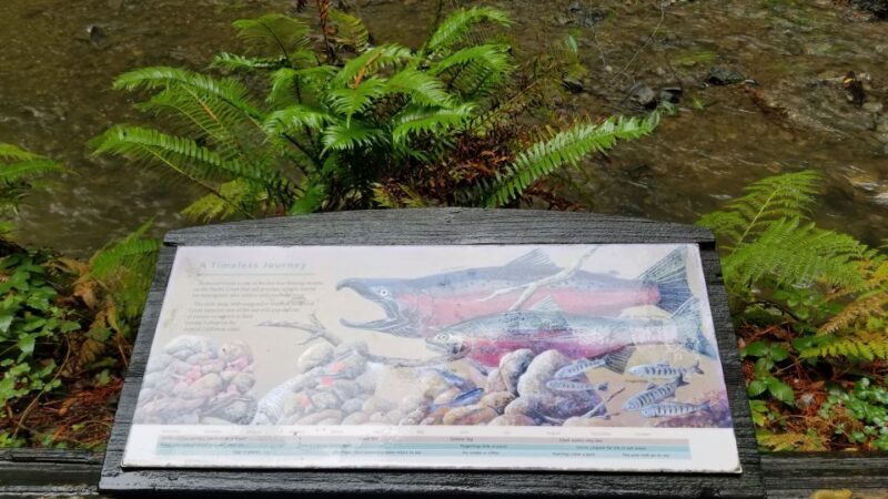 San Fransico: Muir Woods & Marin Headlands Private Tour - Who Will Love This Tour?