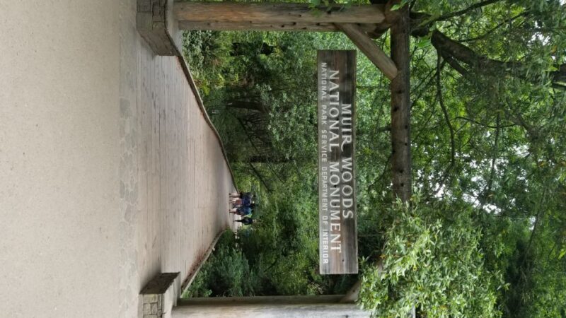 San Fransico: Muir Woods & Marin Headlands Private Tour - The Sum Up