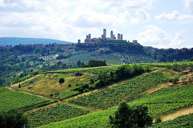 San Gimignano and Chianti Classico Wine and Food PRIVATE TOUR from Florence - Explore Tuscany in Style: Private Tour to San Gimignano and Chianti from Florence