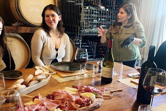 San Gimignano and Vernaccia Wine Tour with Lunch at Farm - In-Depth Review of the Tour