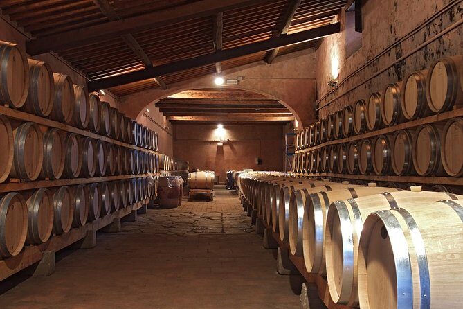 San Gimignano and Winery Experience with Light Lunch from Pisa - Who Would Benefit Most?