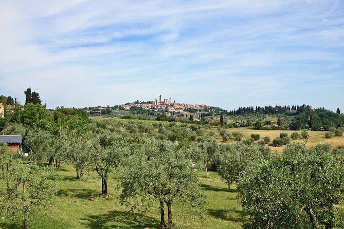 San Gimignano and Winery Experience with Light Lunch from Pisa - FAQ