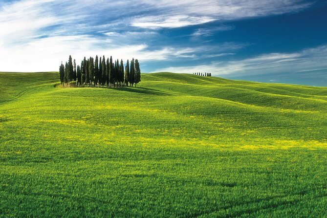 San Gimignano, Chianti, and Montalcino Day Trip from Siena - Caveats & Considerations