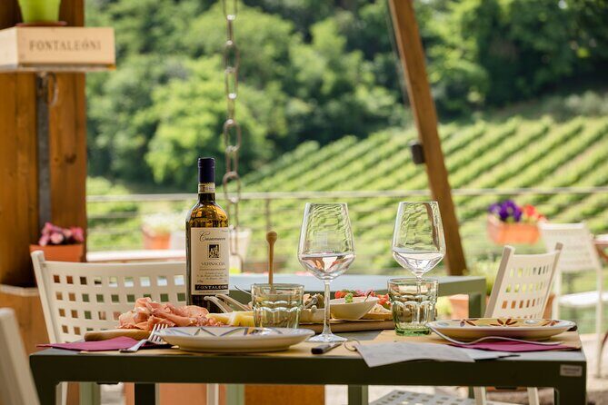 San Gimignano: Chianti wine tasting and lunch - Who Would Love This Tour?