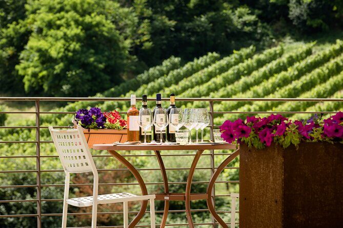 San Gimignano: Chianti wine tasting - Who Will Love This Experience?