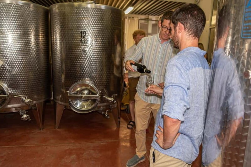 San Gimignano: Mini Wine Tour with Tuscan aperitif - In-Depth Review of the San Gimignano Mini Wine Tour
