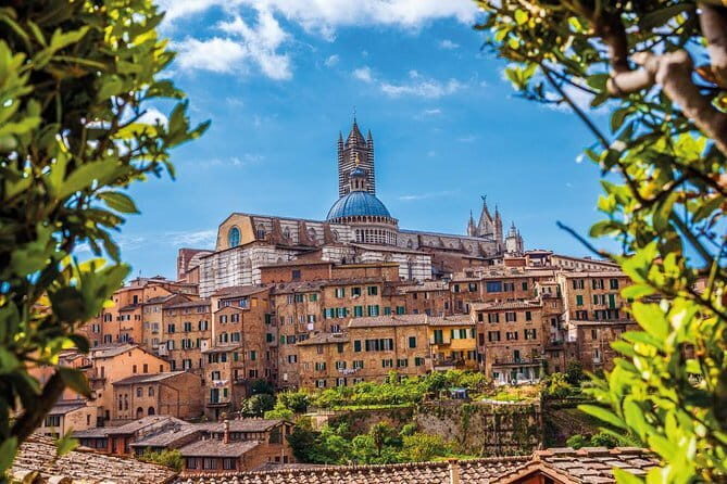 San Gimignano, Siena and Chianti Small Group Wine Tour - A Deep Dive into the Tuscany Tour Experience
