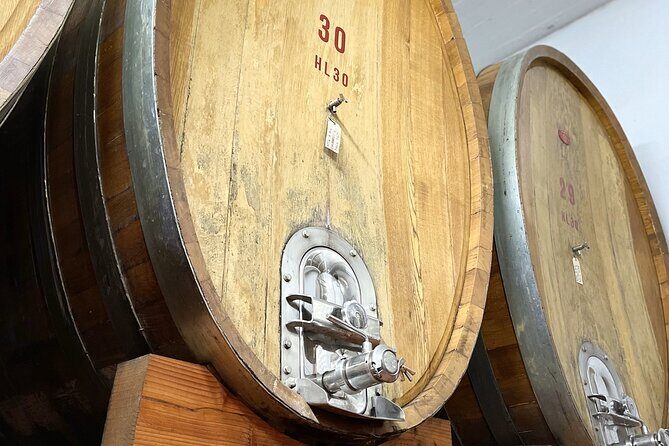 San Gimignano: Vineyard and Cellar Tour with Wine Tasting - FAQ