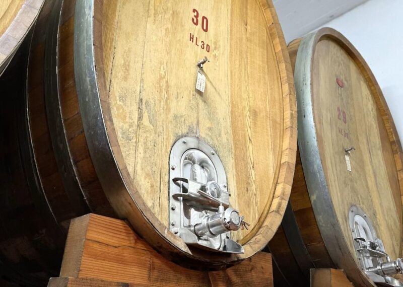 San Gimignano: Vineyard and Cellar Tour with Wine Tasting - FAQ