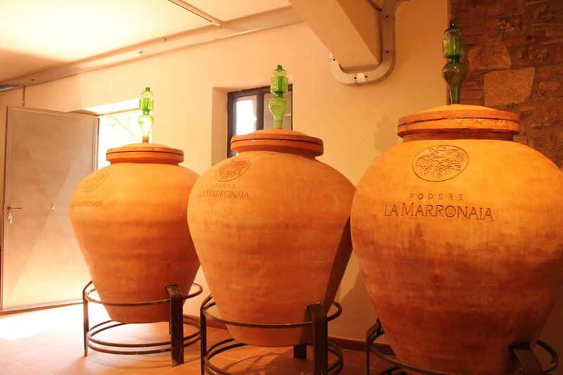 San Gimignano: Wine, Oil, Cheese & Balsamic Tasting - What Reviewers Say