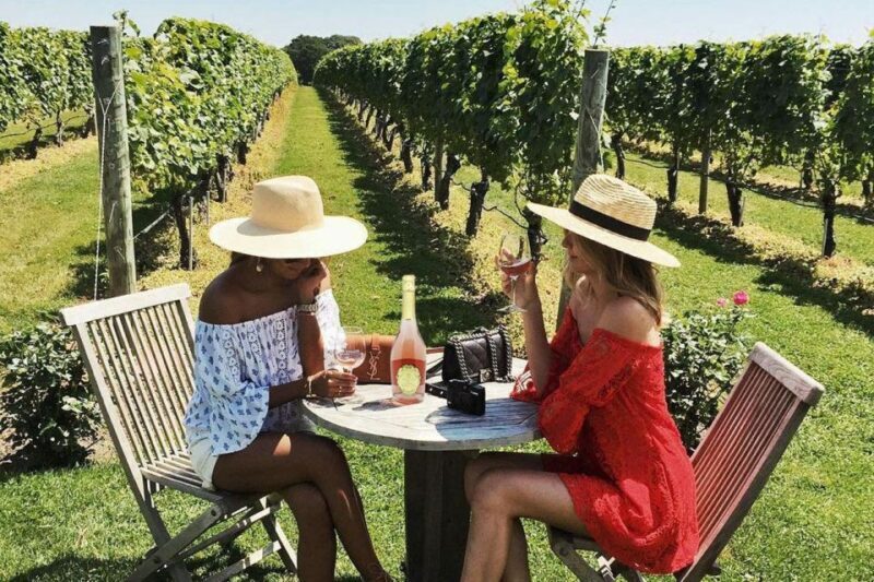 San Gimignano Wine Tasting and Class in Winery for Beginners - Who Will Love This Experience?