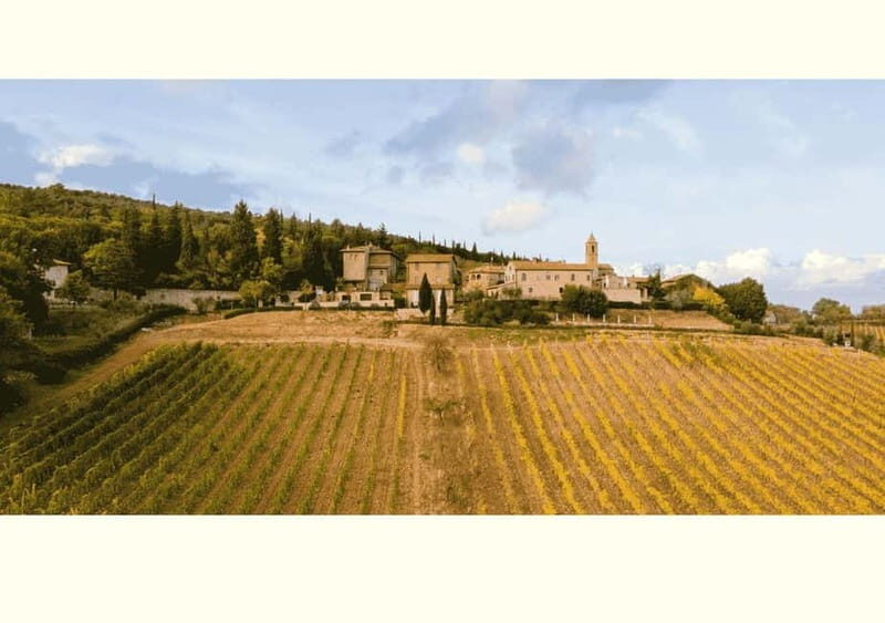 San Gimignano: Wine Tasting Experience at Il Colombaio - Why This Tour Is Worth Considering